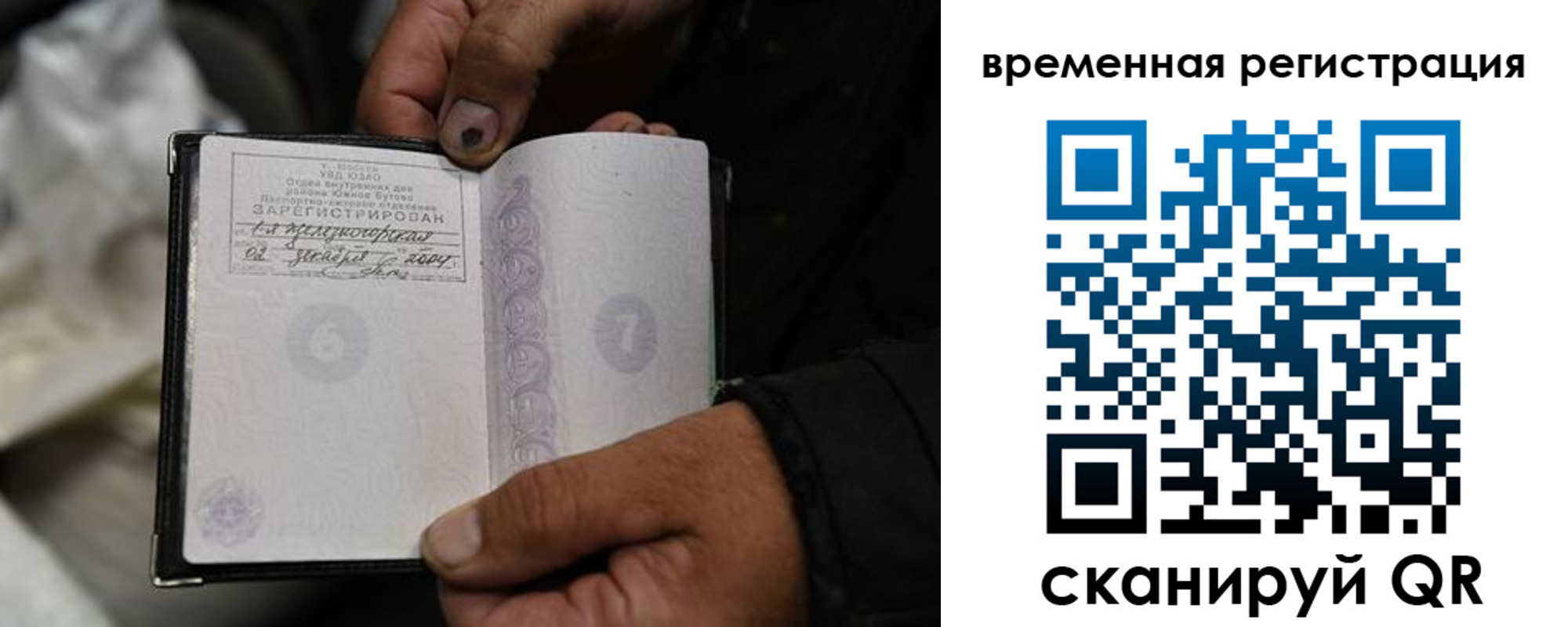 прописка поиск в Фрязино